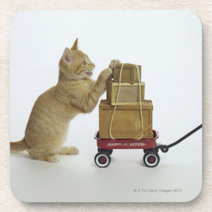 Katze mit Lastwagen und Kästen Getränkeuntersetzer