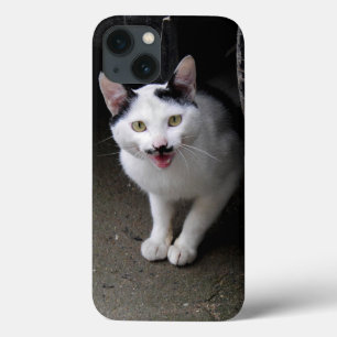 Katze mit Mustache title_seo2