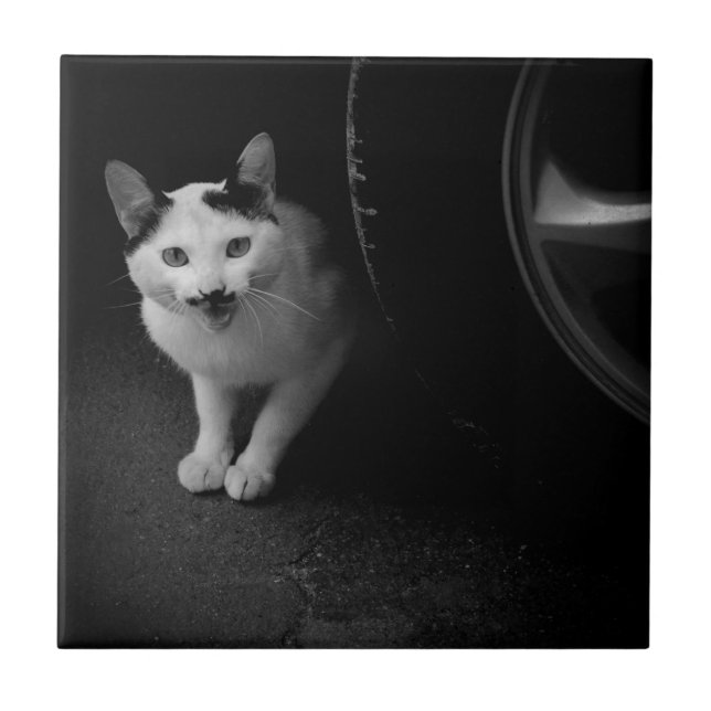 Katze mit Mustache Fliese (Vorderseite)