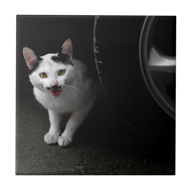 Katze mit Mustache Fliese (Vorderseite)