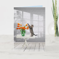 Katze mit Orange Tulips erhalten Wohlfühlkarte