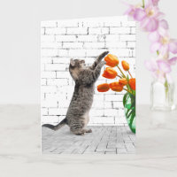 Katze mit Orange Tulips Geburtstag