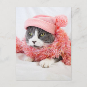 Katze mit Pink Hat Postcard Postkarte