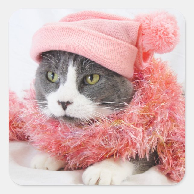 Katze mit Pink-Hat-Square-Aufklebern, glänzend Quadratischer Aufkleber (Vorderseite)