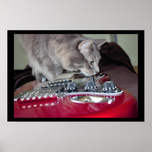 Katze mit Red Electric Gitarre Poster
