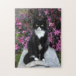 Katze mit rosa Busch,