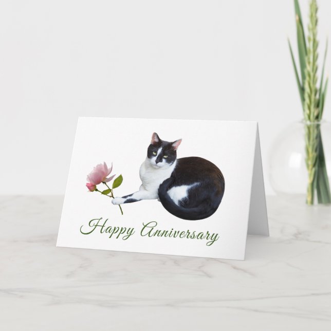 Katze mit rosa Rose Jubiläumskarte Karte (Vorderseite)