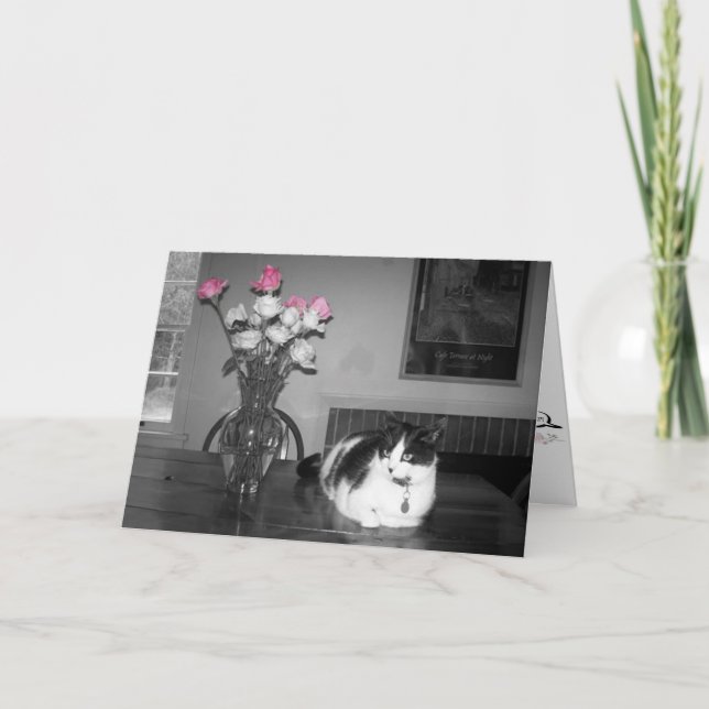 Katze mit rosa Rosen Geburtstagskarte Karte (Vorderseite)