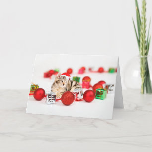 Katze mit roter Weihnachtsmannmütze Weihnachtsbaum Feiertagskarte