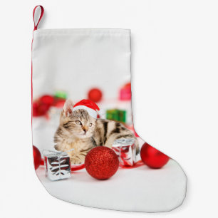 Katze mit roter Weihnachtsmannmütze Weihnachtsbaum Kleiner Weihnachtsstrumpf