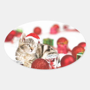 Katze mit roter Weihnachtsmannmütze Weihnachtsbaum Ovaler Aufkleber