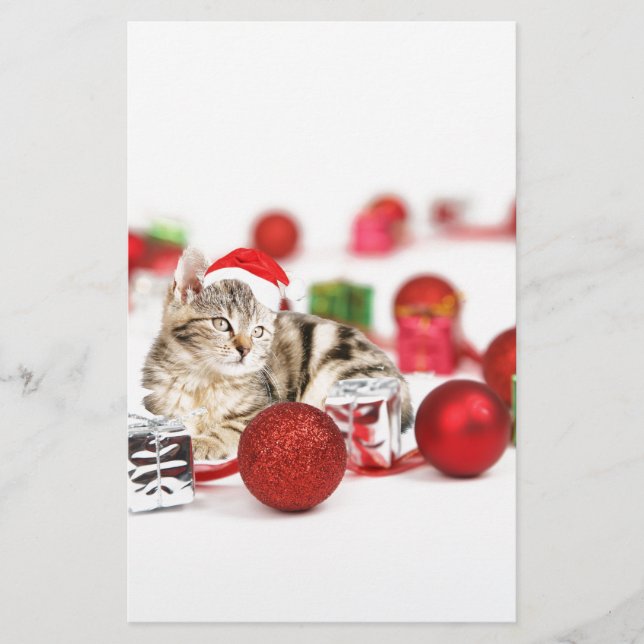 Katze mit roter Weihnachtsmannmütze Weihnachtsschm Briefpapier (Vorderseite)