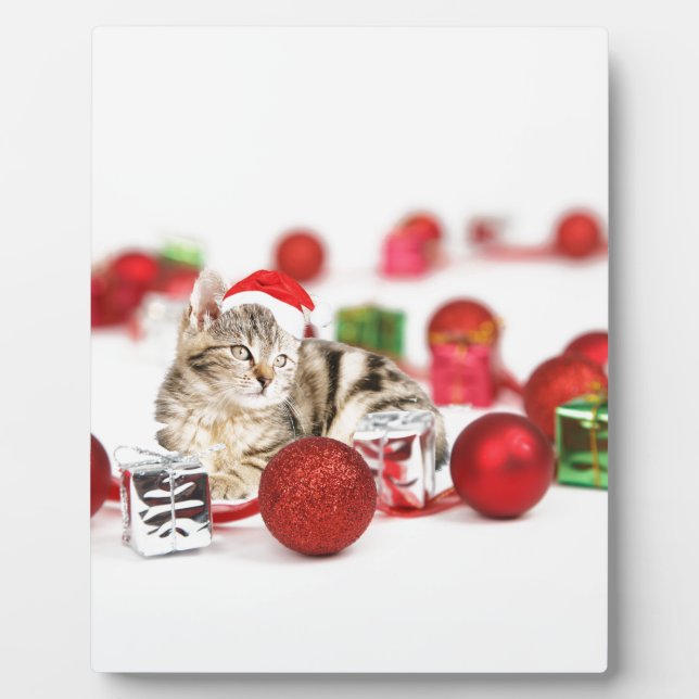 Katze mit roter Weihnachtsmannmütze Weihnachtsschm Fotoplatte (Vorderseite)