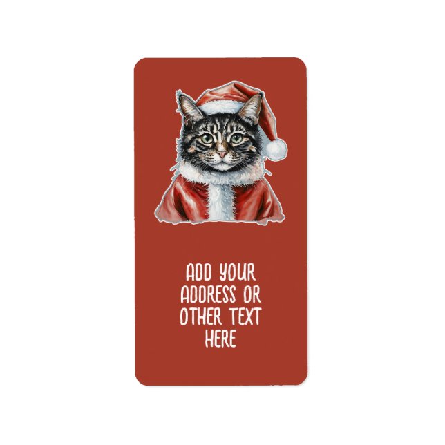 Katze mit Santa Claus Outfit - Weihnachten 1 Adressaufkleber (Vorne)