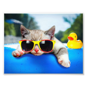 Katze mit Sonnenbrille entspannen auf Luftmatratze Fotodruck