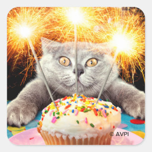 Katze mit Sparklerkuchen Quadratischer Aufkleber