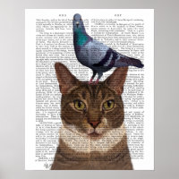 Katze mit Taube auf Kopf