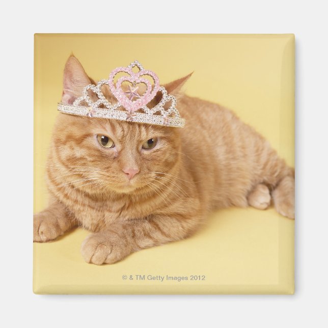 Katze mit Tiara Magnet (Vorne)