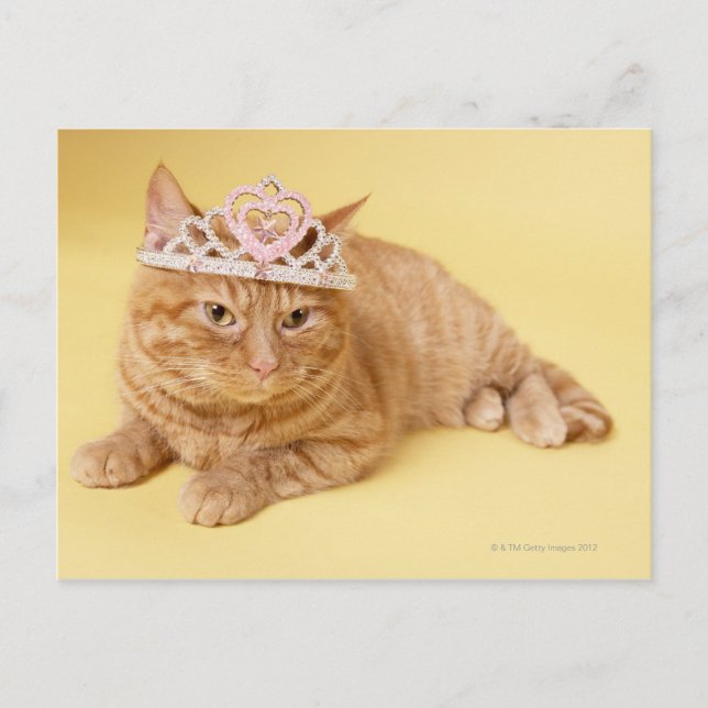 Katze mit Tiara Postkarte (Vorderseite)