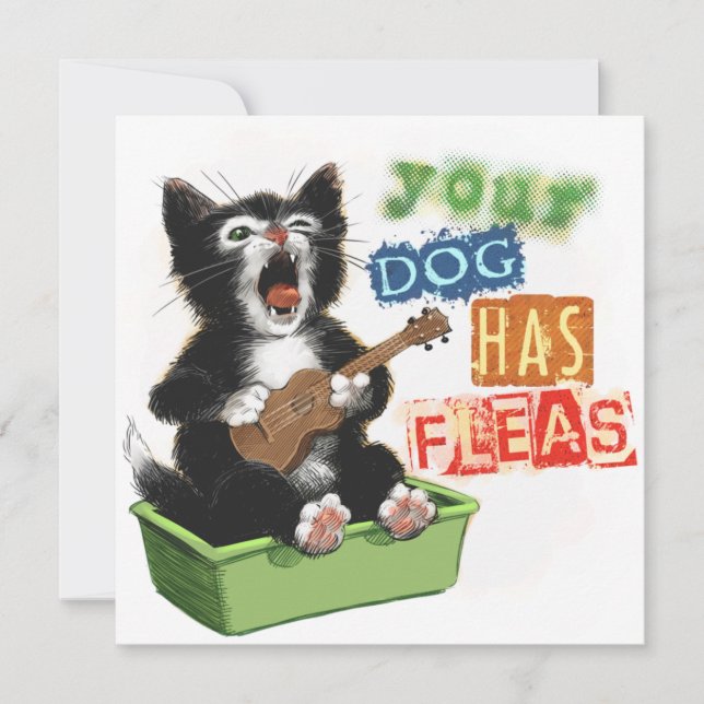 Katze mit Ukulele-Karte Feiertagskarte (Vorderseite)