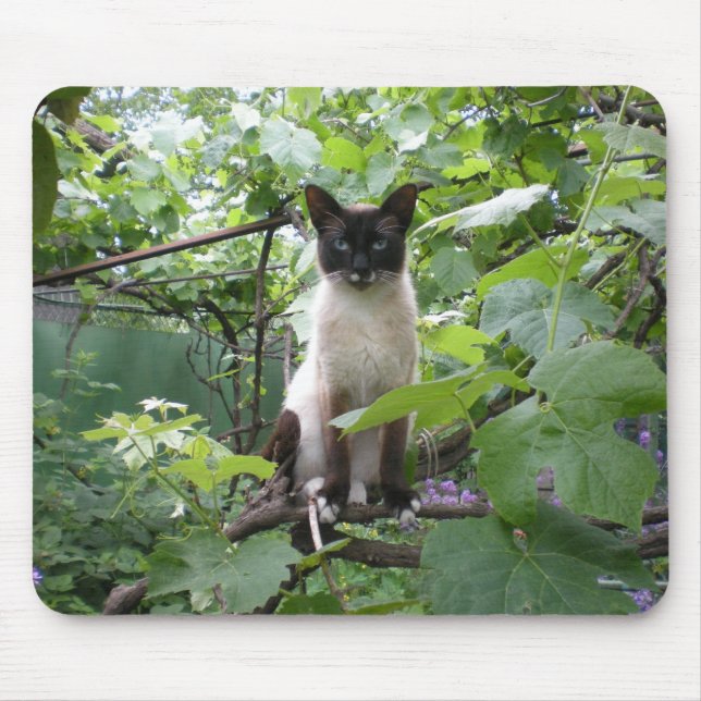 Katze mousepad (Vorne)