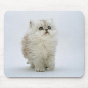 Katze Mousepad