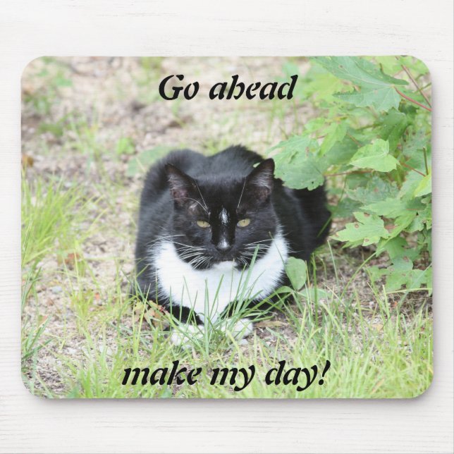 Katze mousepad (Vorne)