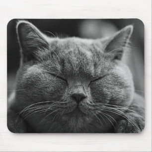 Katze Mousepad