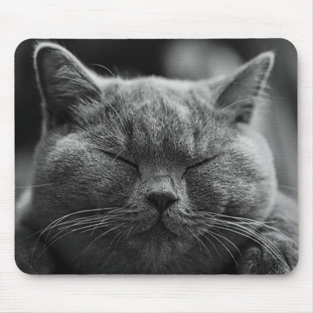 Katze Mousepad (Vorne)