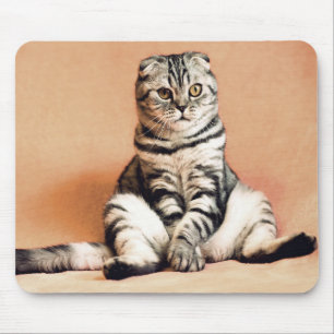 Katze Mousepad