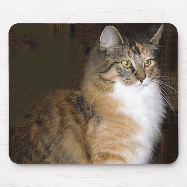 Katze Mousepad (Vorne)