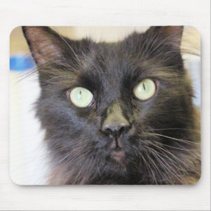 Katze Mousepad