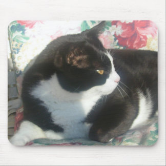 Katze Mousepad