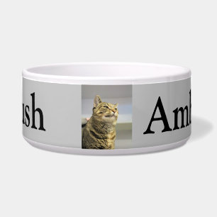 Katze Napf