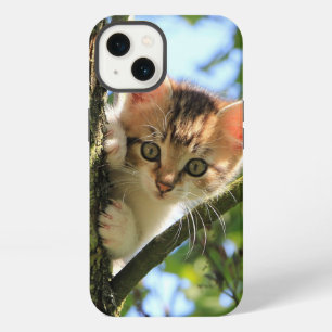 Katze, Natur, Kätzchen iPhone Hülle