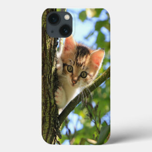 Katze, Natur, Kitten Case-Mate iPhone Hülle