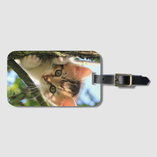 Katze, Natur, Kitten Gepäckanhänger