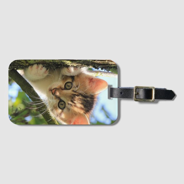 Katze, Natur, Kitten Gepäckanhänger (Vorderseite (Horizontal))