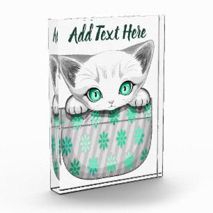 Katze Niedlich und spielerisch aus einem Pocket Fotoblock