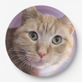 Katze Pappteller