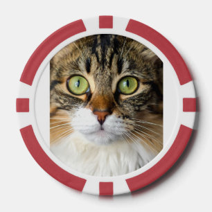 Katze Pokerchips