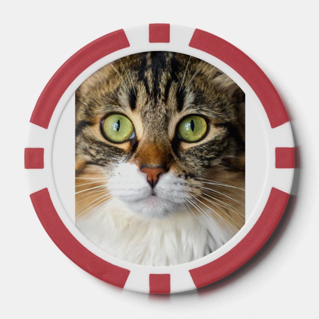 Katze Pokerchips (Vorderseite)