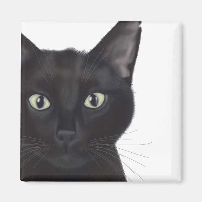 Katze, Portrait von Gus Magnet (Vorne)
