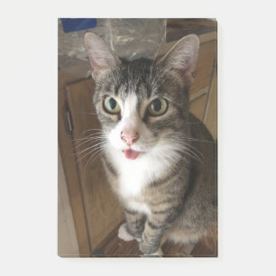 Katze Post-it Klebezettel