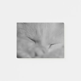 Katze Post-it Klebezettel