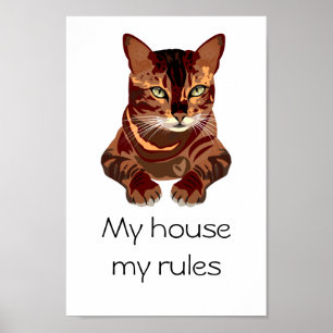 Katze Poster