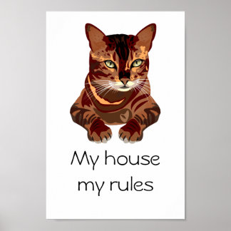 Katze Poster