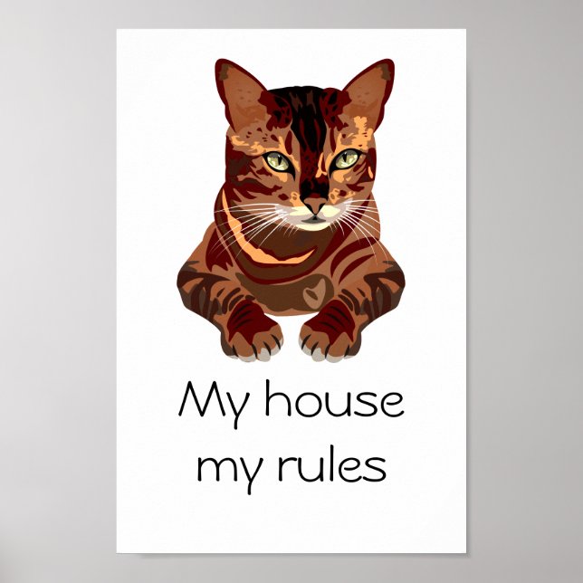 Katze Poster (Vorne)