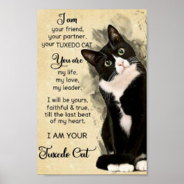 Katze Poster