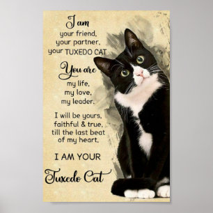 Katze Poster